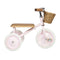 Trike - Pink - www.toybox.ae