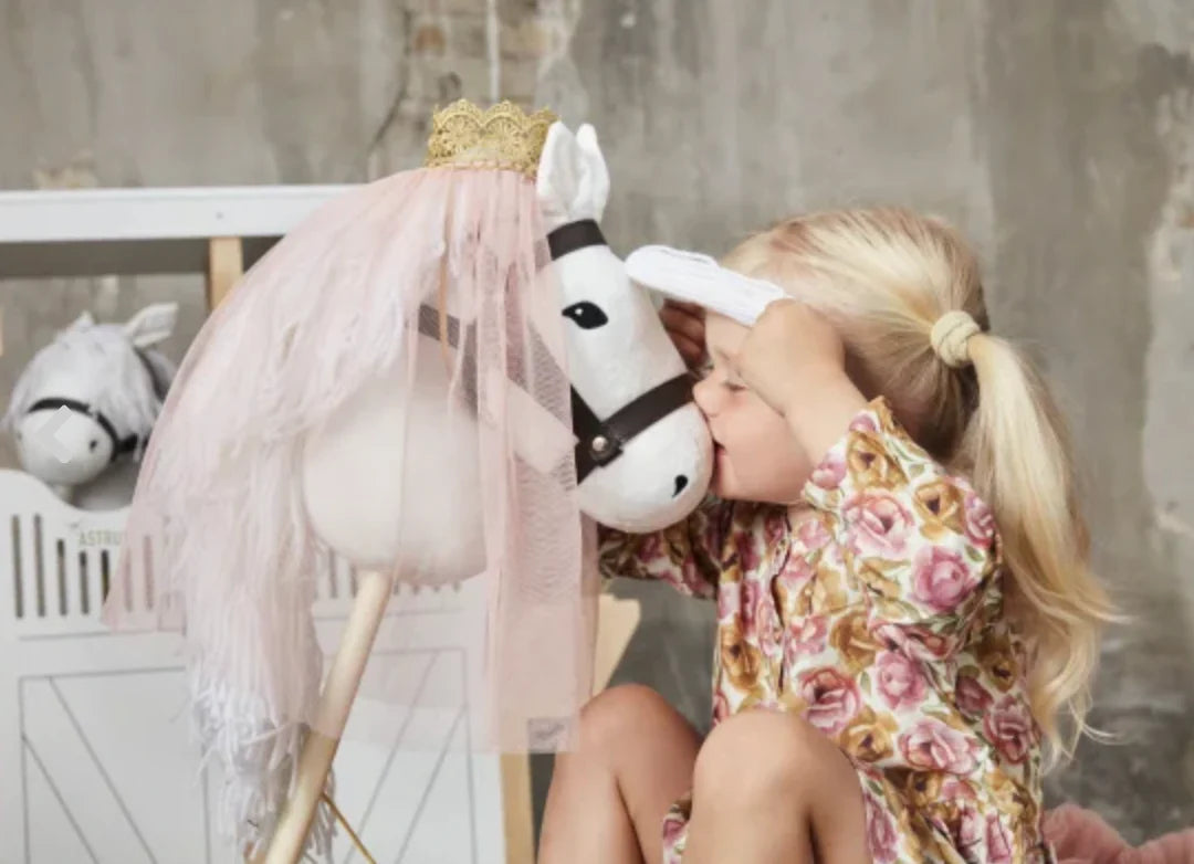 5 Fun Activities Your Child Can Play with Hobby Horse Toys