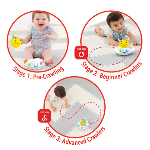 Skip Hop Explore & More Follow Bee Crawl Toy