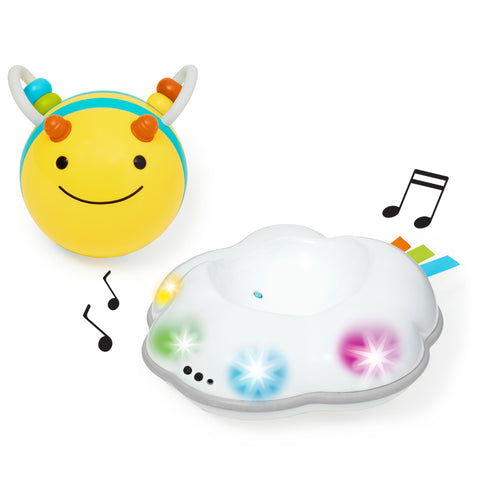 Skip Hop Explore & More Follow Bee Crawl Toy