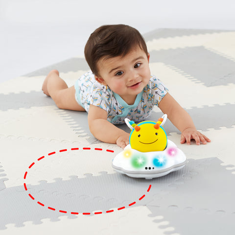 Skip Hop Explore & More Follow Bee Crawl Toy