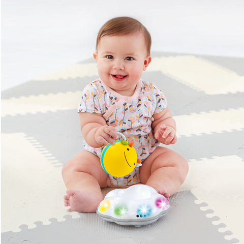 Skip Hop Explore & More Follow Bee Crawl Toy