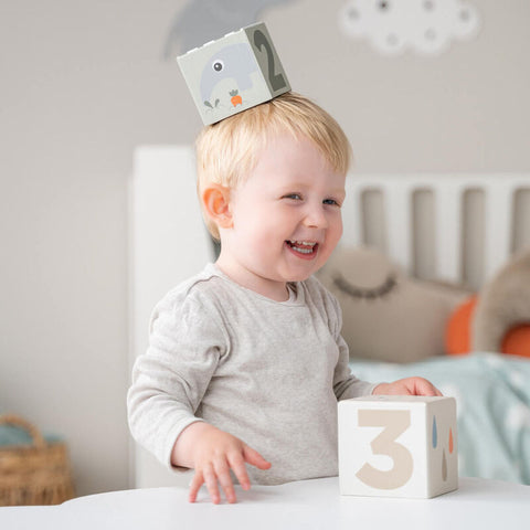 Stacking Cubes 5 Pcs Deer Friends Colour Mix