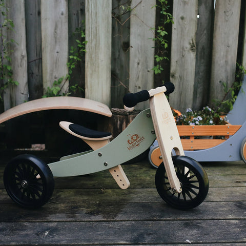 2-in-1 Tiny Tot Tricycle & Balance Bike - Sage