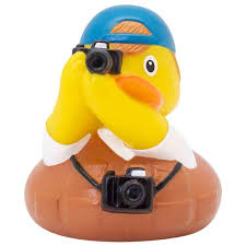 Photographer Duck