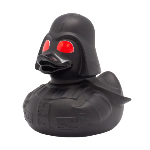 Red-Eyed Black Star Duck