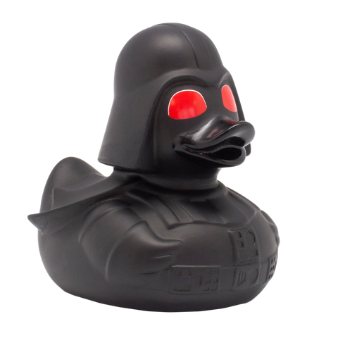 Red-Eyed Black Star Duck