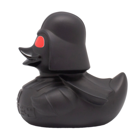 Red-Eyed Black Star Duck