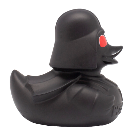 Red-Eyed Black Star Duck