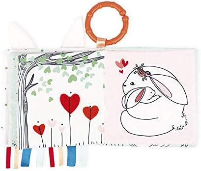 ACTIVITY BOOK - THE RABBIT IN LOVE