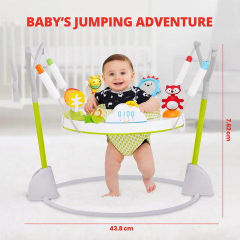 304350_Toybox.ae