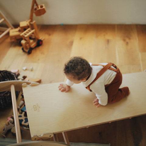Pikler Duo Ramp & Slide