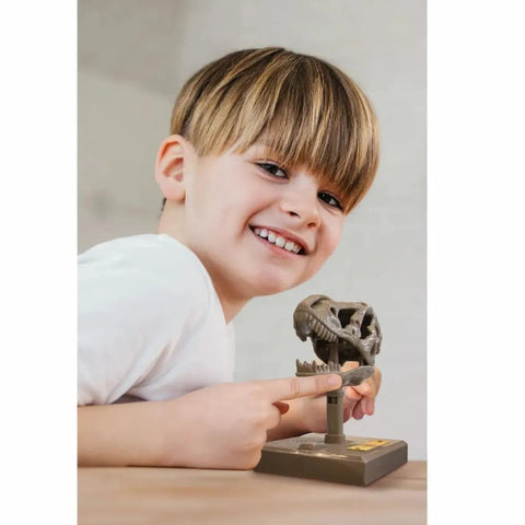 4M KidzLabs/Dino Skull