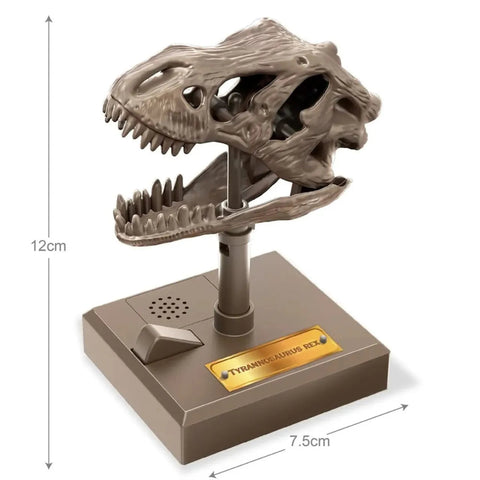 4M KidzLabs/Dino Skull