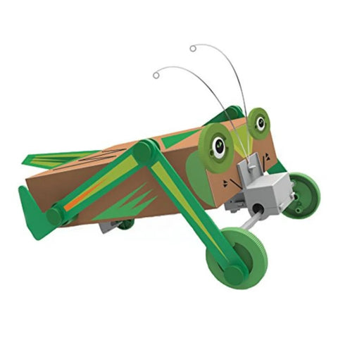 4M Box Bug / Green Science