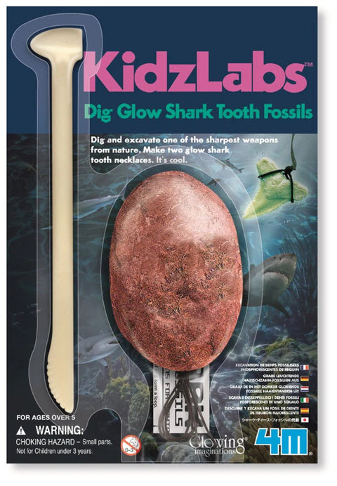 4M KidzLabs/Dig Glow Shark Tooth Fossils_Toybox.ae