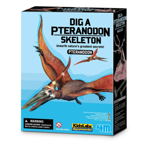 4M Dig a Pteranodon Skeleton
