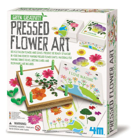 4M Green Creativity/Pressed Flower Art