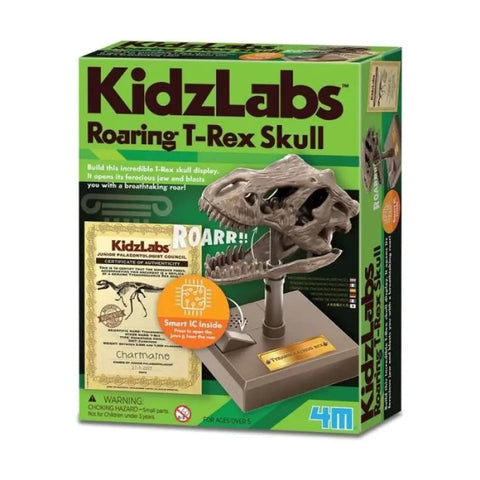 4M KidzLabs/Dino Skull