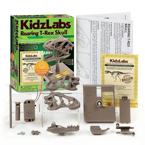 4M KidzLabs/Dino Skull