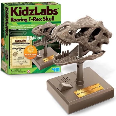 4M KidzLabs/Dino Skull