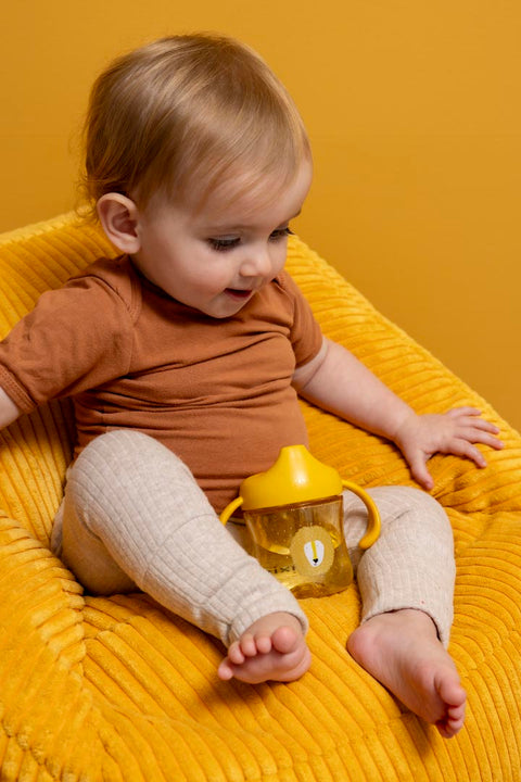 Sippy Cup With Handle - Mr. Lion