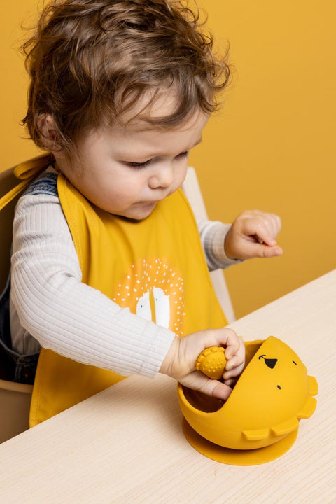 First Baby Silicone Meal Set - Mr. Lion