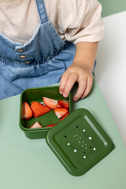 Snack Box Nesting - Set of 3 - Mr. Alligator