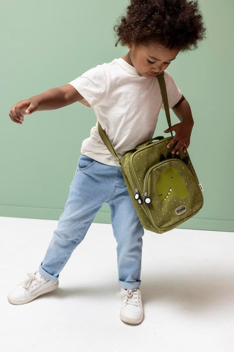 Insulated Lunch Bag - Mr. Dino
