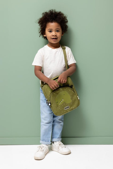 Insulated Lunch Bag - Mr. Dino