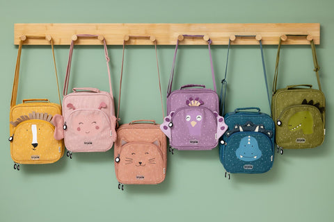 Insulated Lunch Bag - Mr. Dino