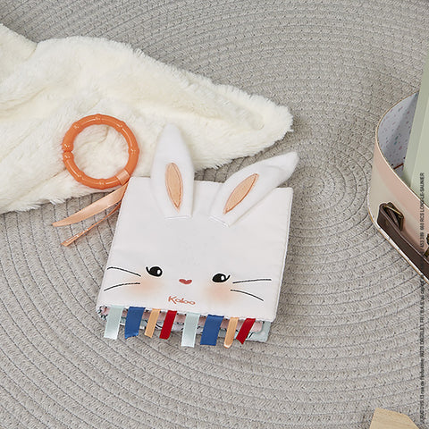 ACTIVITY BOOK - THE RABBIT IN LOVE