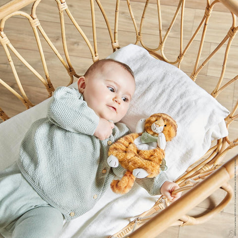 DOUDOU PAPAYE TIGER