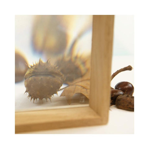 6 Pieces Magnifier Cases