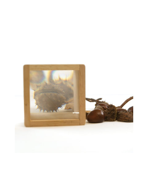 6 Pieces Magnifier Cases