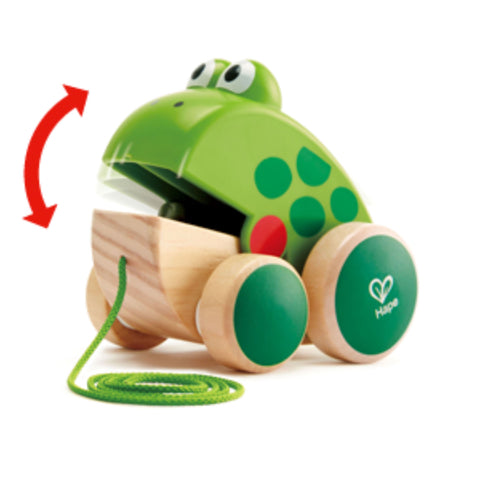 Hape Frog-Themed Push & Pull Along Toy