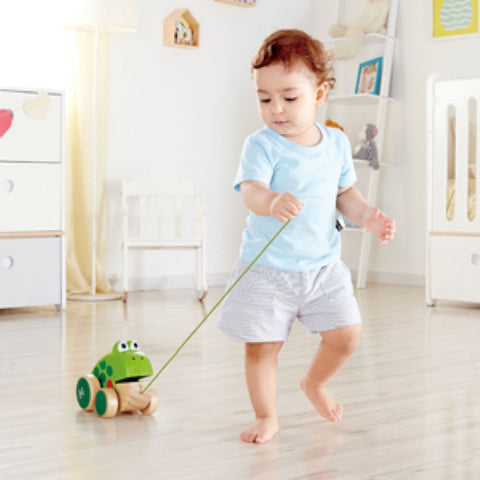 Hape Frog-Themed Push & Pull Along Toy