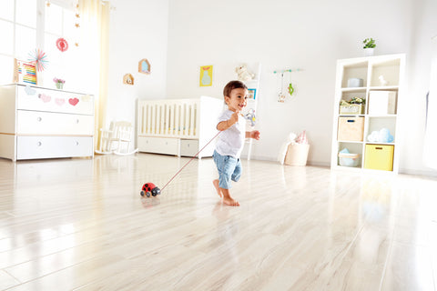 Hape Ladybug Push & Pull Along Toy