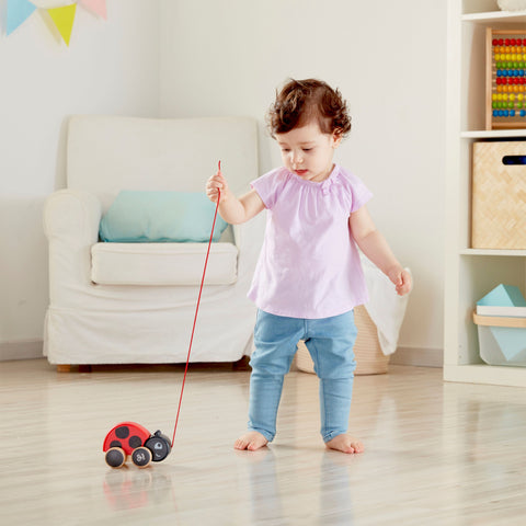 Hape Ladybug Push & Pull Along Toy