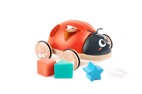 Wooden Ladybug-Themed Push and Pull-Along Toy