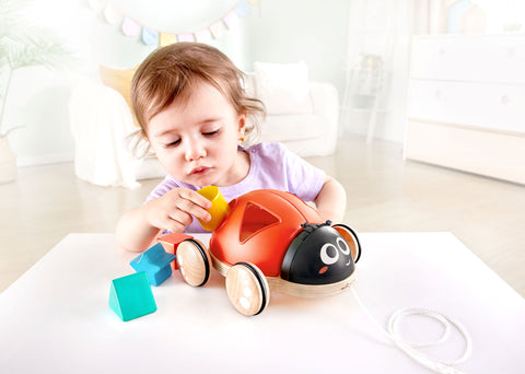 Wooden Ladybug-Themed Push and Pull-Along Toy