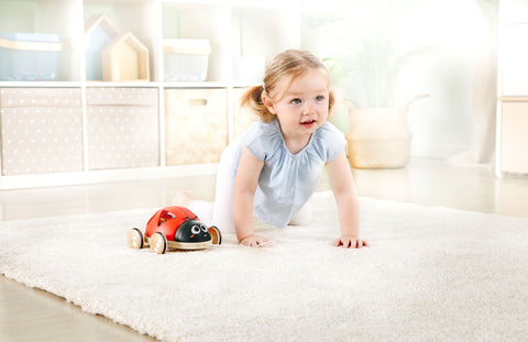 Wooden Ladybug-Themed Push and Pull-Along Toy