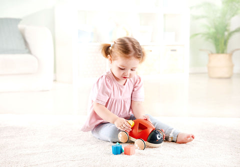 Wooden Ladybug-Themed Push and Pull-Along Toy