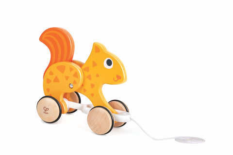 Push and Pull Squirrel Wooden Pull Along Toy