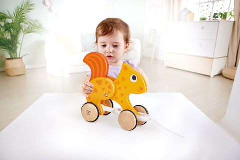 Push and Pull Squirrel Wooden Pull Along Toy