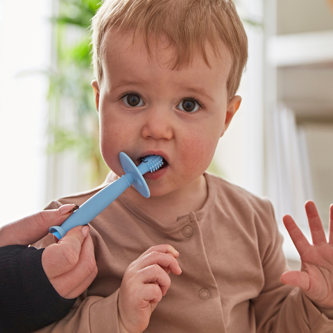 Training Toothbrush With Stopper - Mint Green and Light Blue
