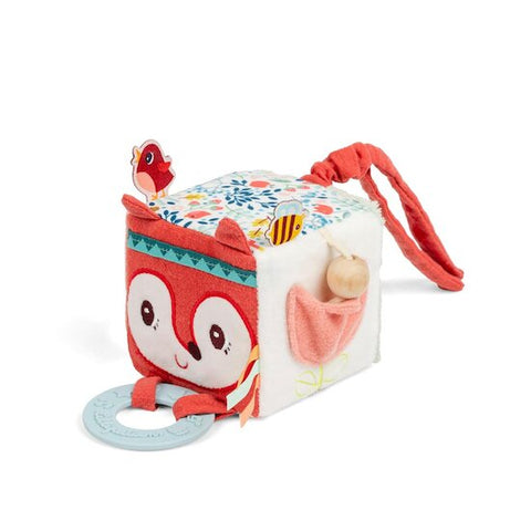 ALICE, ACTIVITY CUBE