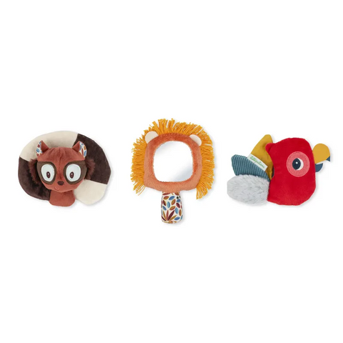 JACK SENSORY DISCOVERY SET