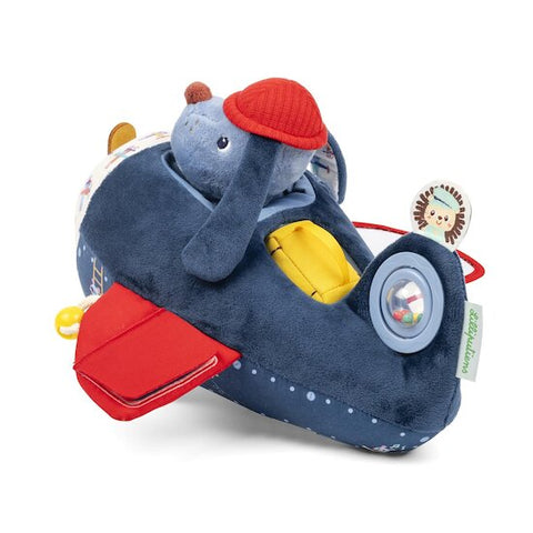 JULES ACTIVITY AIRPLANE