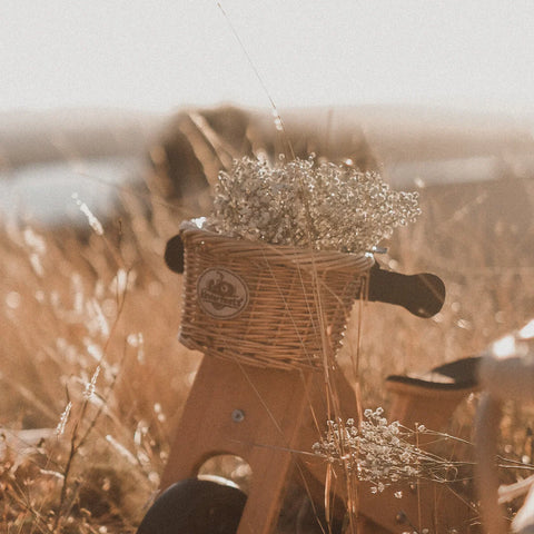 Wicker Bike Basket